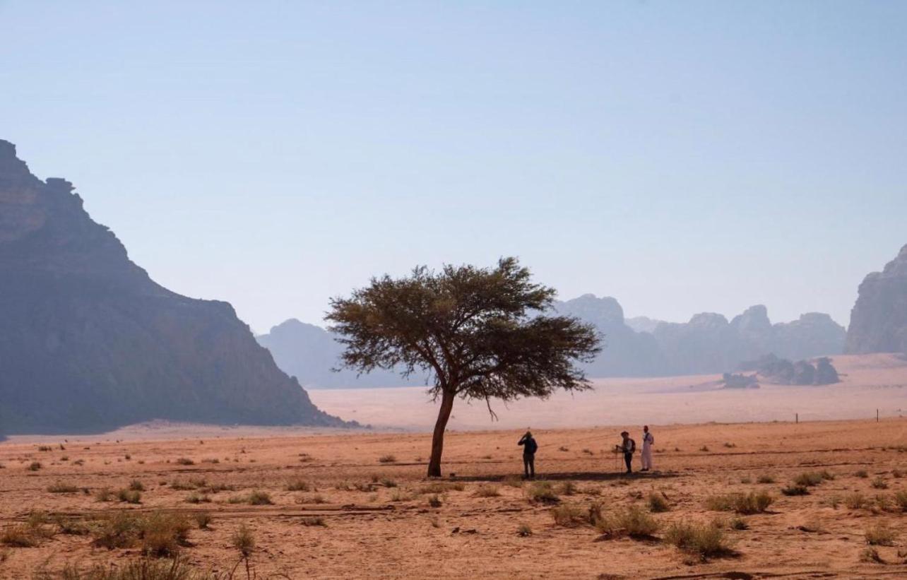 Hidden Wadi Rum Camp Exterior foto