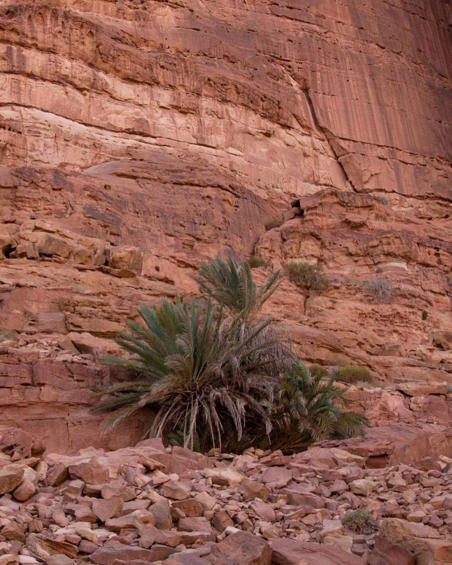 Hidden Wadi Rum Camp Exterior foto